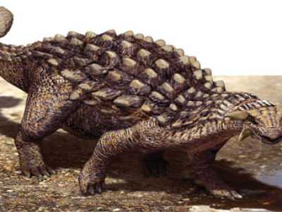 L'anchilosauro
